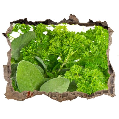 Finto buco nel muro 3D Un'oasi verde in cemento