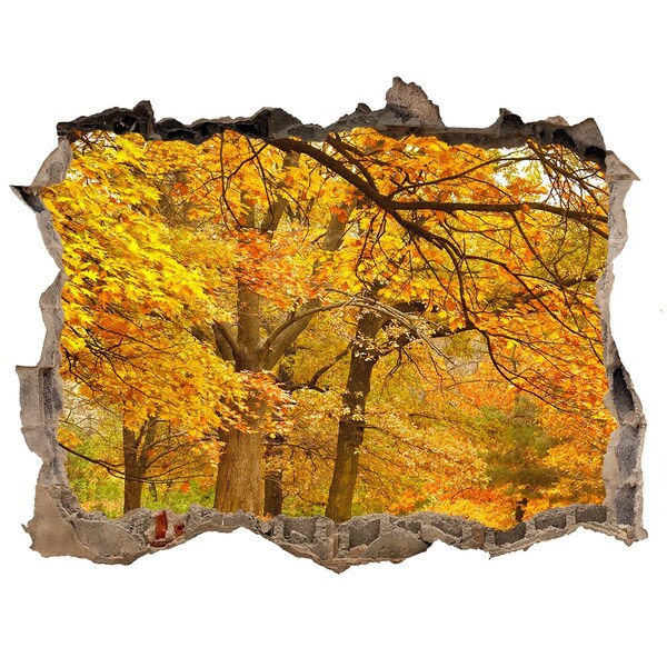 Adesivo buco nel muro Autunno dorato nella foresta