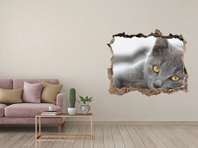Finto buco nel muro 3D Gatto grigio in un buco nel muro