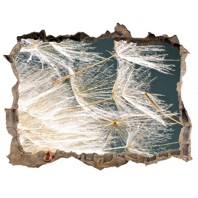 Sticker buco nel muro Un paesaggio floreale dietro la buca