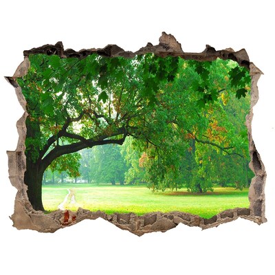 Adesivo buco nel muro Parco verde al sole