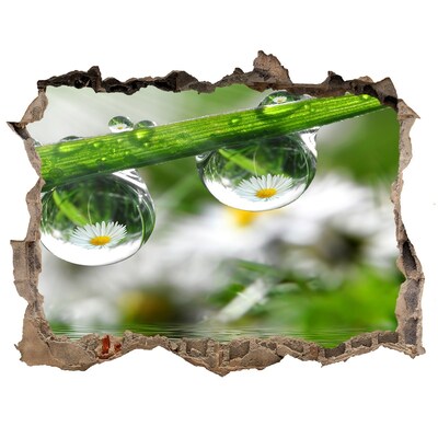Sticker buco nel muro Oasi floreale con gocce d'acqua