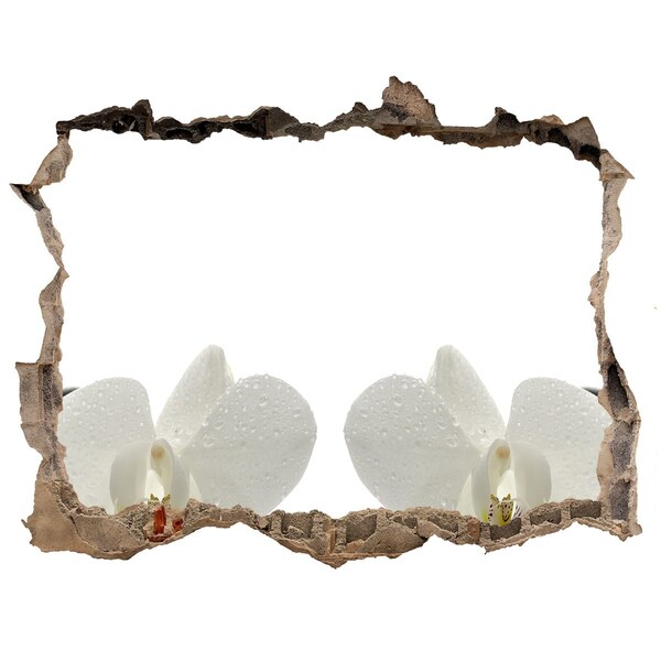 Finto buco nel muro 3D Fiori in cemento