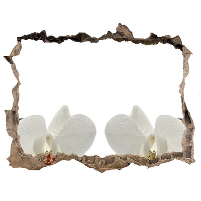 Finto buco nel muro 3D Fiori in cemento