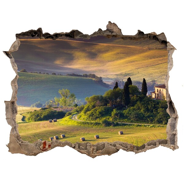 Finto buco nel muro 3D Il paesaggio idilliaco della Toscana