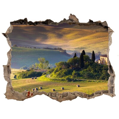 Finto buco nel muro 3D Il paesaggio idilliaco della Toscana
