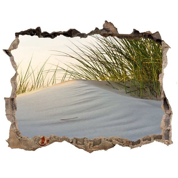 Finto buco nel muro 3D Duna illuminata dalla luce del tramonto