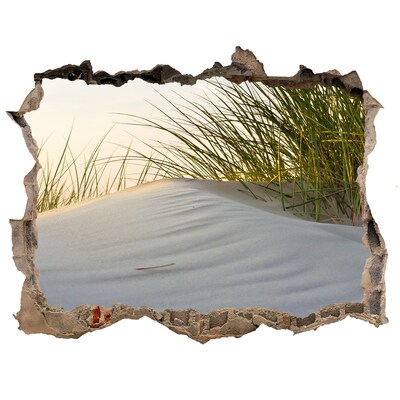 Finto buco nel muro 3D Duna illuminata dalla luce del tramonto