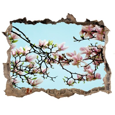 Sticker buco nel muro Magnolie primaverili in un cielo azzurro