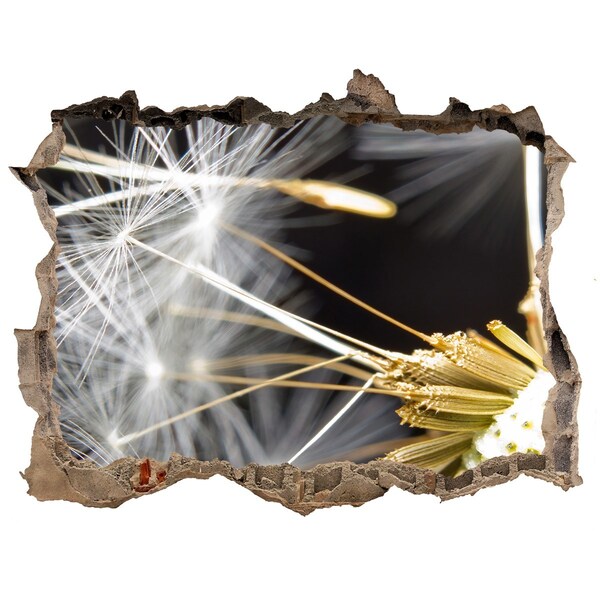 Sticker buco nel muro Sogno di fiori attraverso un buco nel muro