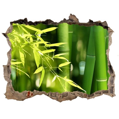 Adesivo buco nel muro Foresta di bambù verde