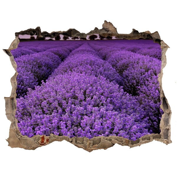 Finto buco nel muro 3D Un campo di lavanda in piena fioritura