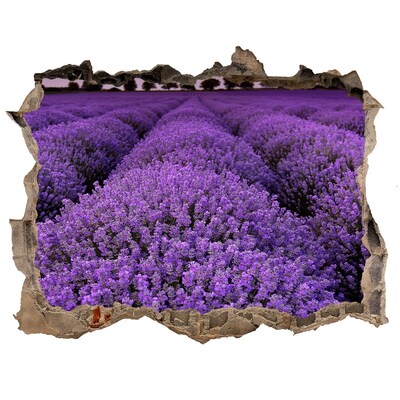Finto buco nel muro 3D Un campo di lavanda in piena fioritura