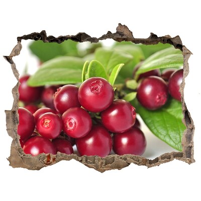 Adesivo buco nel muro Fruity Hole in the Wall