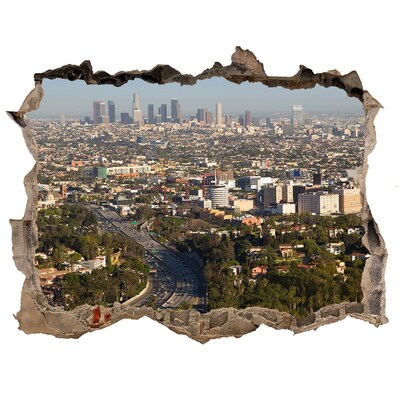 Finto buco nel muro 3D Vista di Los Angeles