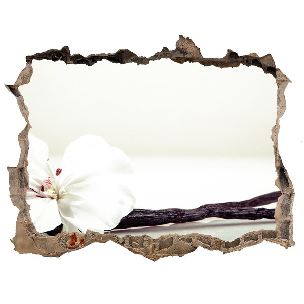 Adesivo buco nel muro Vista floreale attraverso il muro