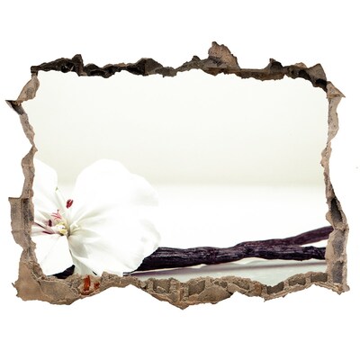 Adesivo buco nel muro Vista floreale attraverso il muro