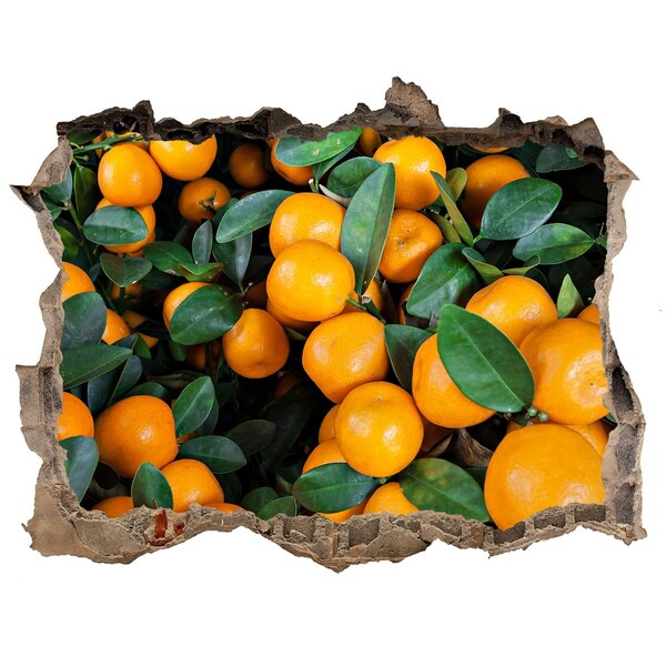 Finto buco nel muro 3D Frutta nell'aranceto