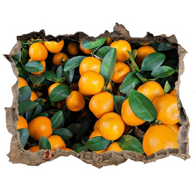 Finto buco nel muro 3D Frutta nell'aranceto