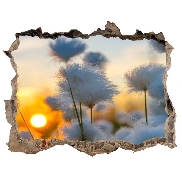 Sticker buco nel muro Fiori al tramonto