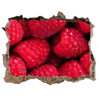 Finto buco nel muro 3D Lamponi nel cemento