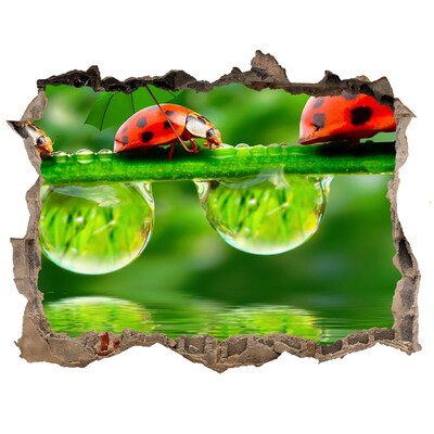 Sticker buco nel muro Una goccia di natura con una coccinella