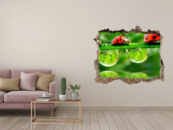 Sticker buco nel muro Una goccia di natura con una coccinella