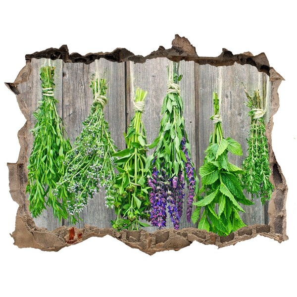 Finto buco nel muro 3D Giardino delle erbe aromatiche dietro il muro