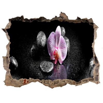 Sticker buco nel muro Fiore di orchidea circondato da pietre