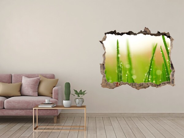 Adesivo buco nel muro Prato verde con gocce d'acqua