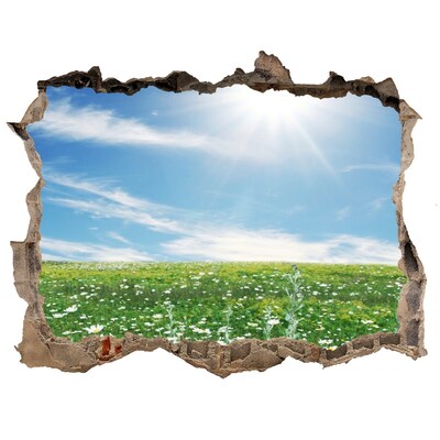 Adesivo buco nel muro Un prato fiorito sotto un cielo azzurro