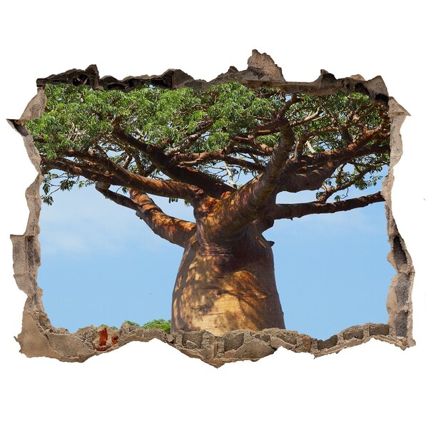 Adesivo buco nel muro Baobab in un buco nel muro
