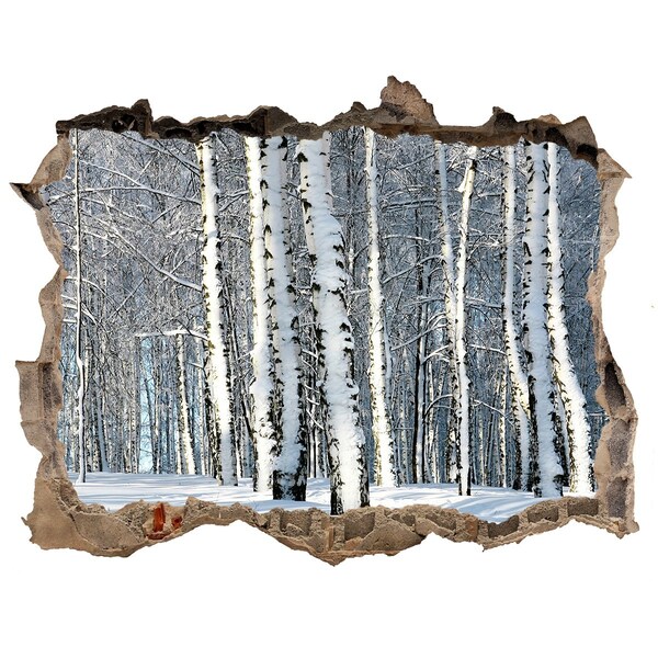 Sticker buco nel muro Foresta invernale in bianco