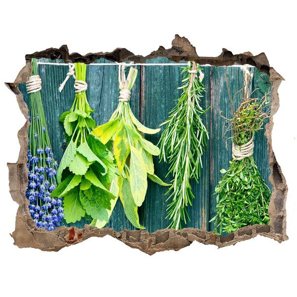Finto buco nel muro 3D Orto di erbe aromatiche in cucina