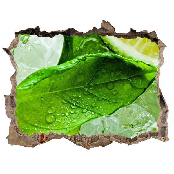 Sticker buco nel muro Foglie di menta fresca sul ghiaccio
