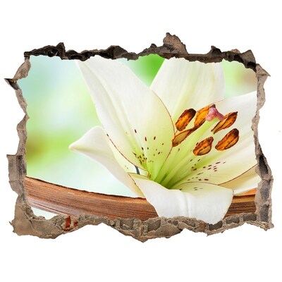 Adesivo buco nel muro Un'oasi floreale in cemento