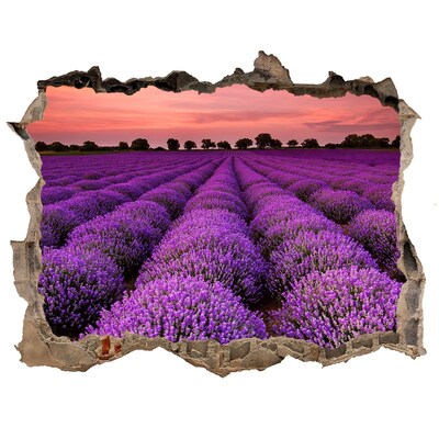 Sticker buco nel muro Campi di lavanda al tramonto