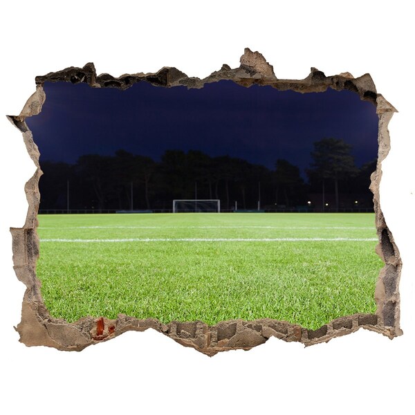Finto buco nel muro 3D Campo da calcio di notte