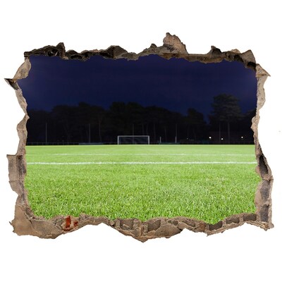 Finto buco nel muro 3D Campo da calcio di notte