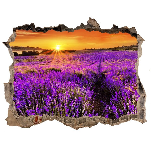 Sticker buco nel muro Campo di lavanda al tramonto