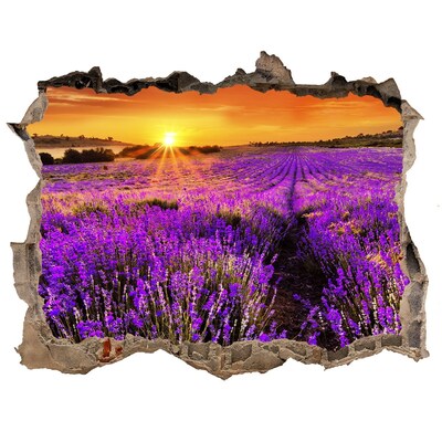 Sticker buco nel muro Campo di lavanda al tramonto
