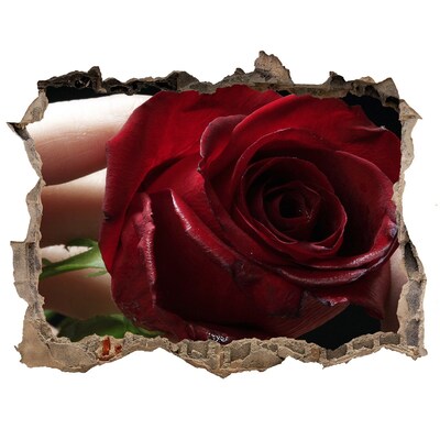 Sticker buco nel muro Una rosa in un muro in rovina