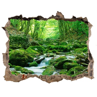 Finto buco nel muro 3D Ruscello verde nella foresta