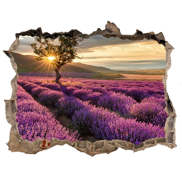 Finto buco nel muro 3D Campi di lavanda al tramonto