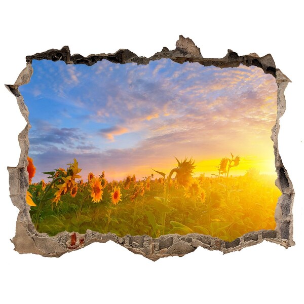 Sticker buco nel muro Girasoli al tramonto