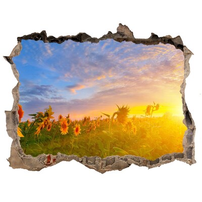 Sticker buco nel muro Girasoli al tramonto