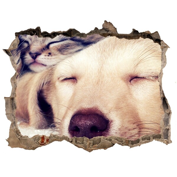 Adesivo buco nel muro Un cagnolino carino in un buco nel muro