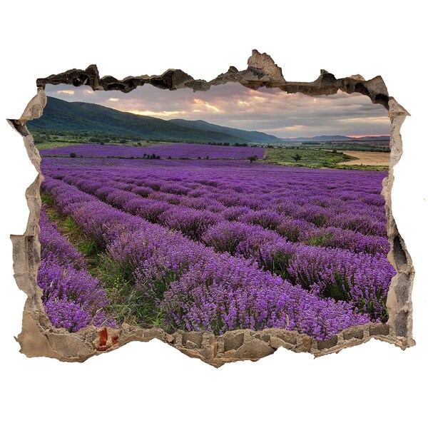 Adesivo buco nel muro Campi di lavanda ai raggi del sole al tramonto