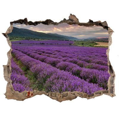 Adesivo buco nel muro Campi di lavanda ai raggi del sole al tramonto