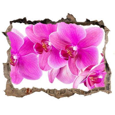 Finto buco nel muro 3D Fiori di orchidea in una buca di cemento